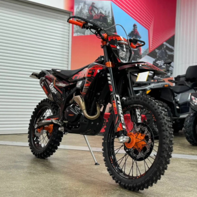 Кроссовый мотоцикл FAIDET PR300 MAX WP в Кемерово