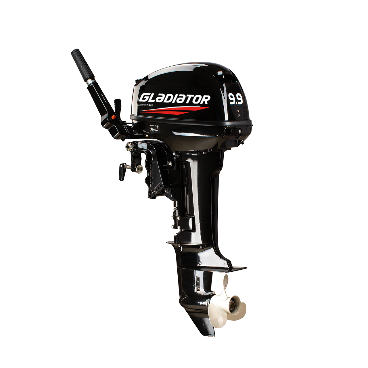 ЛОДОЧНЫЙ МОТОР GLADIATOR G9.9FHS в Кемерово