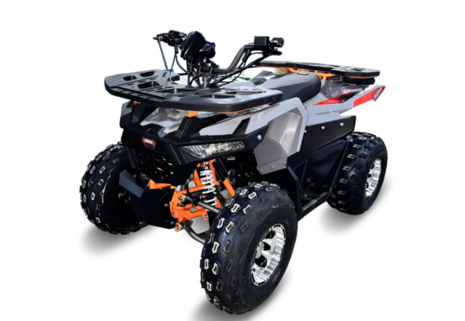 Квадроцикл GBM DAXTER 220 NEW PREMIUM в Кемерово