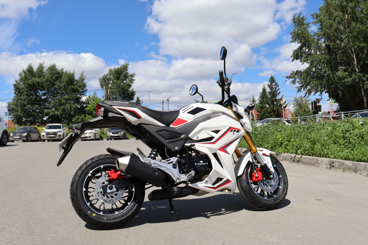 Мотоцикл PROMAX STRYKER 200(49) 2.0 в Кемерово