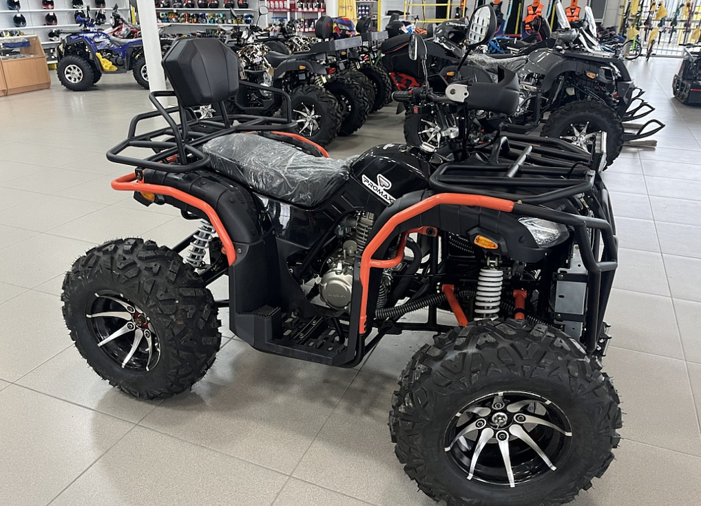 Квадроцикл PROMAX 300 4X4 ALL ROAD в Кемерово