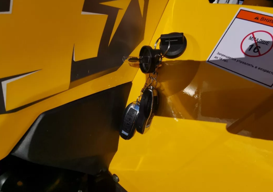 Квадроцикл MOTOLAND (МОТОЛЕНД) VOX200 WILD TRACK X PRO (баланс. вал) в Кемерово