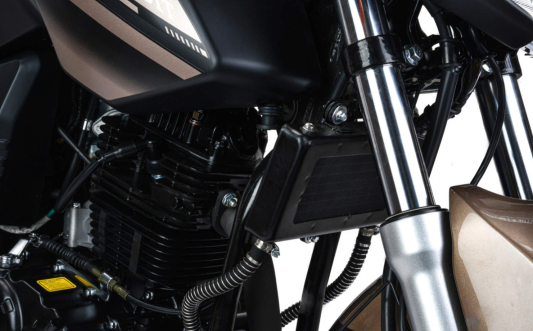 Мотоцикл MOTOLAND (МОТОЛЕНД) 300 BANDIT в Кемерово