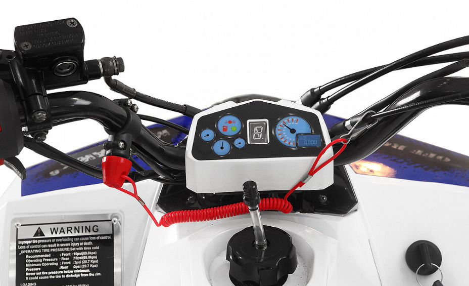 Квадроцикл Yacota Raposa 130 PRO-SPORT в Кемерово