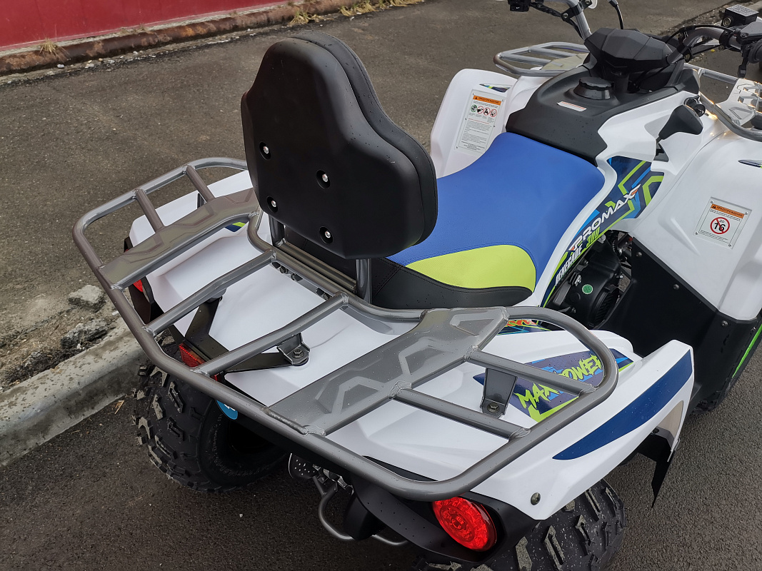 Квадроцикл PROMAX RENEGADE 280 LUX (2025) в Кемерово