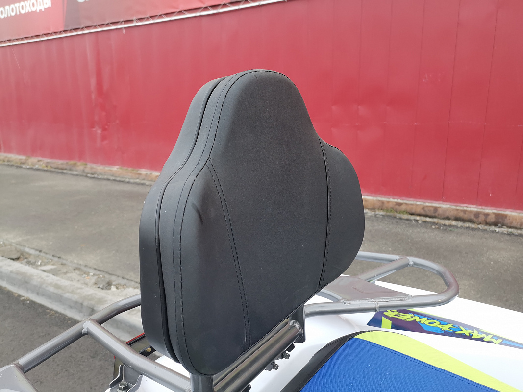 Квадроцикл PROMAX RENEGADE 280 LUX (2025) в Кемерово