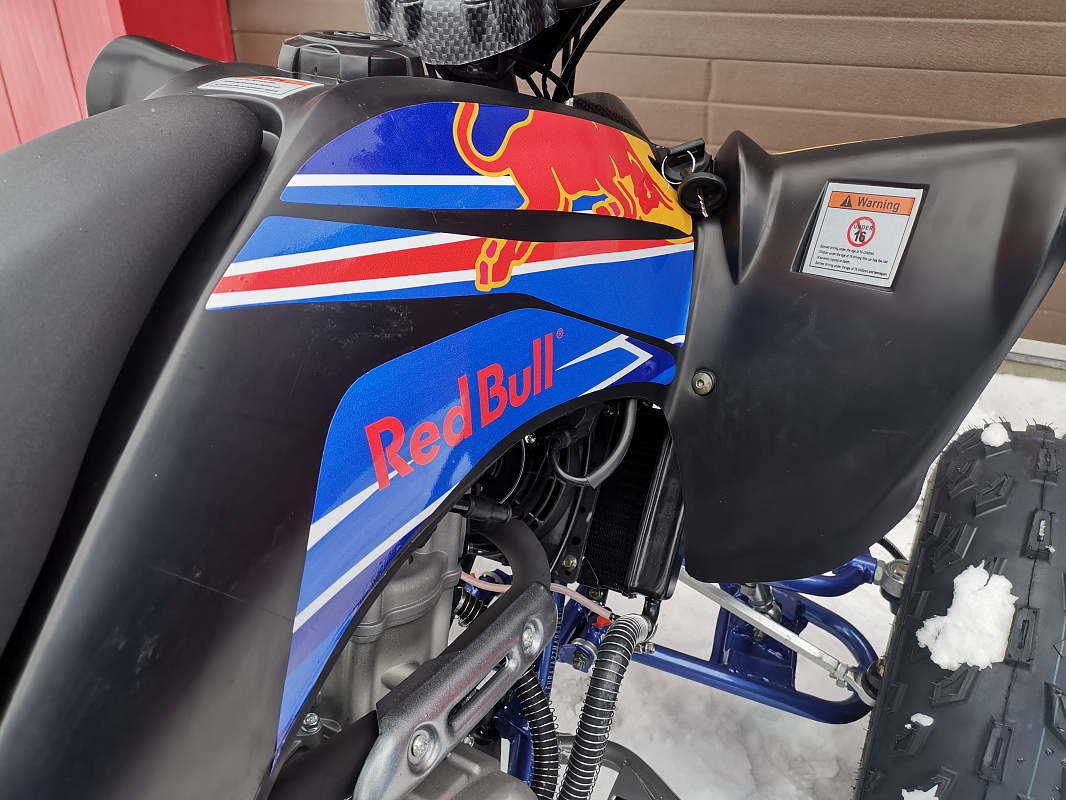 Квадроцикл PROMAX RAPTOR 300 NEW RedBull в Кемерово