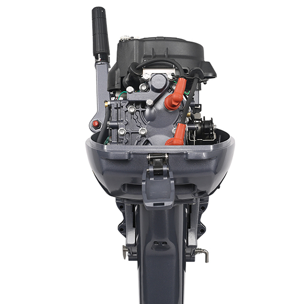 ЛОДОЧНЫЙ МОТОР ALLFA CG Т9,9 Limit в Кемерово