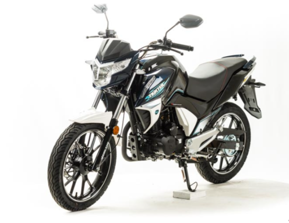 Мотоцикл MOTOLAND (МОТОЛЕНД) FIGHTER 250 в Кемерово