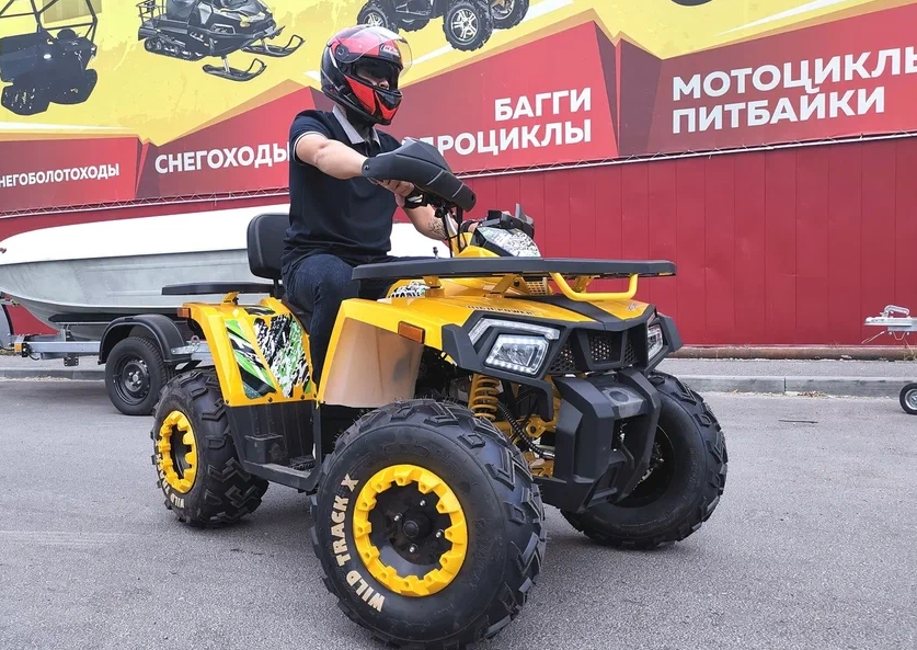 Квадроцикл PROMAX STORM 280 LUX в Кемерово