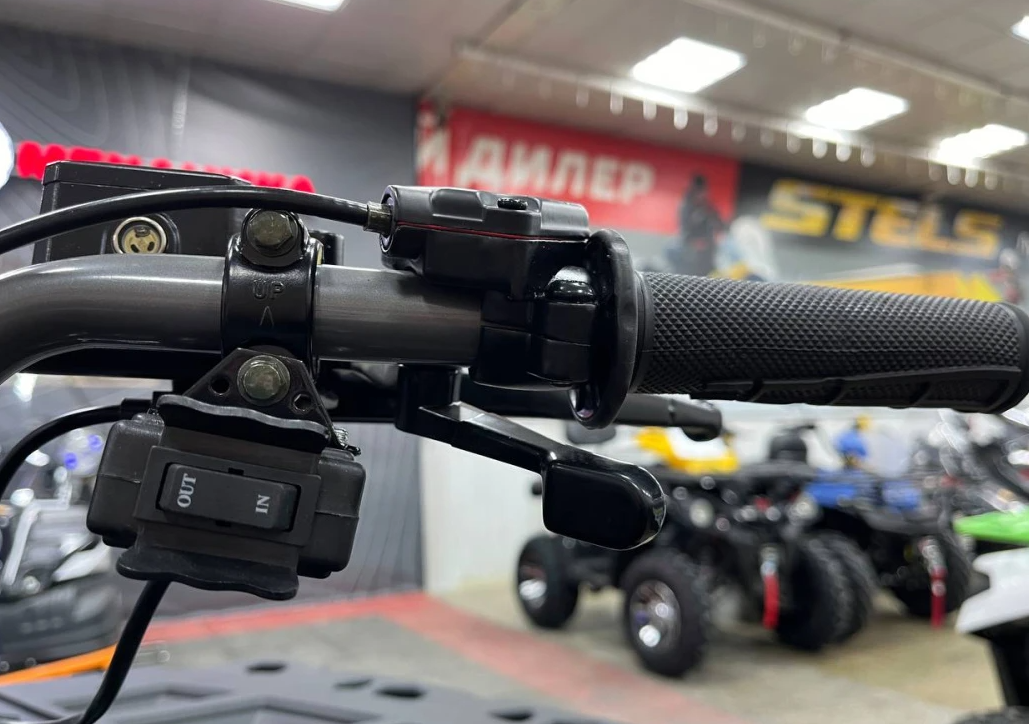 Квадроцикл PROMAX RENEGADE 300 LONG WINCH PRO (2025) в Кемерово