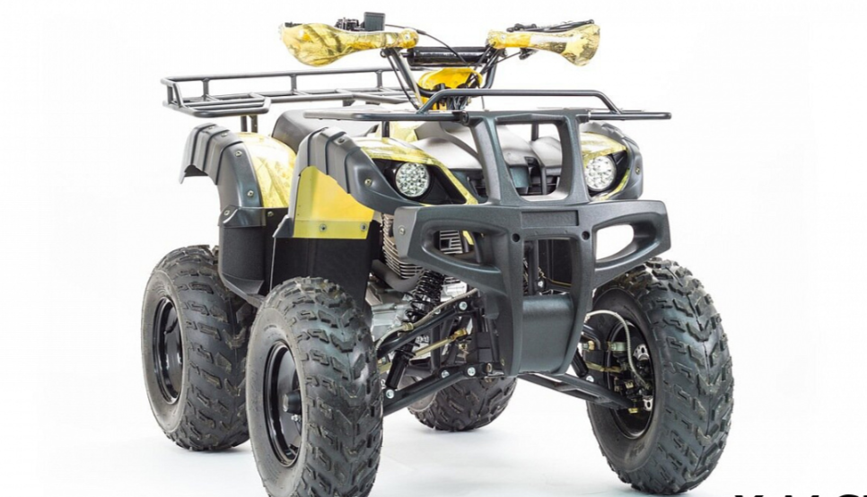 Квадроцикл MOTOLAND (МОТОЛЕНД) 250 ADVENTURE в Кемерово