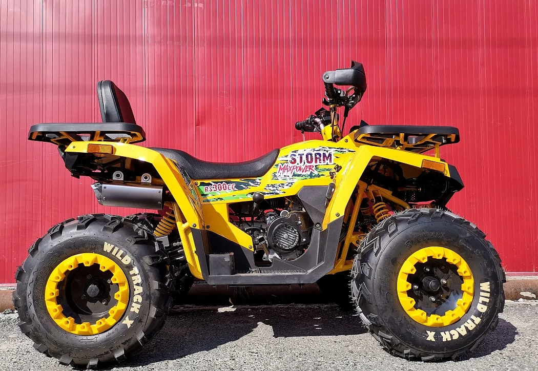 Квадроцикл PROMAX STORM 280 LUX в Кемерово