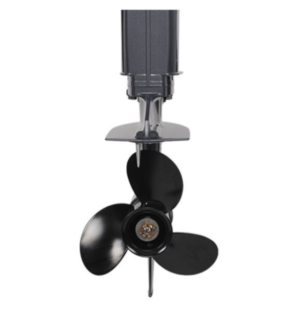 Лодочный мотор ALLFA CG Т40FW S в Кемерово