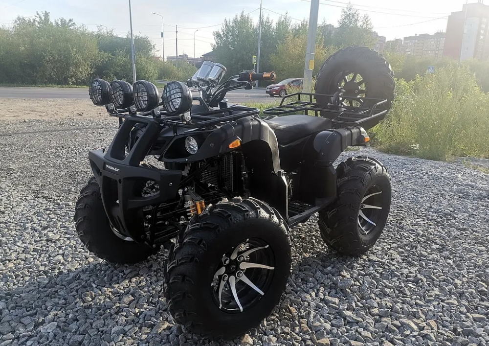 Квадроцикл PROMAX LEO 300 Max (кардан) в Кемерово