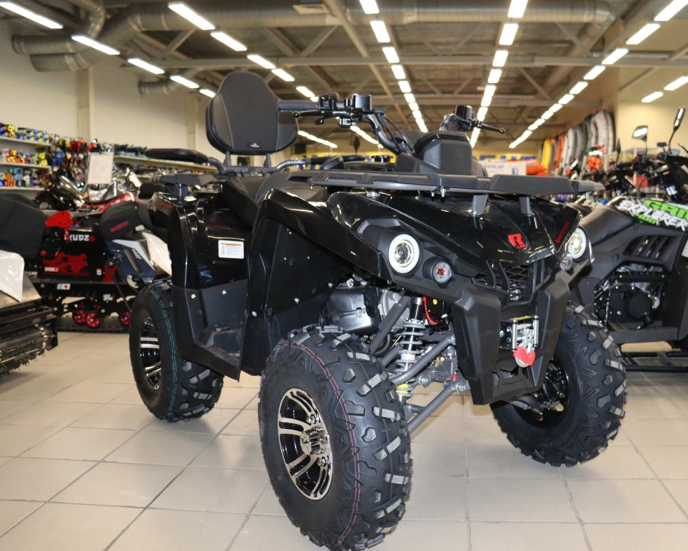 Квадроцикл PROMAX RENEGADE 300 LONG WINCH PRO (2025) в Кемерово