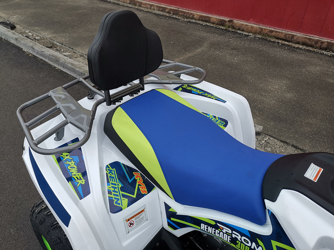 Квадроцикл PROMAX RENEGADE 280 LUX (2025) в Кемерово
