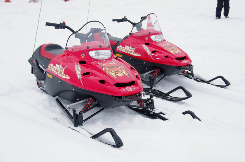 Снегоход РМ ТАЙГА РЫСЬ в Кемерово