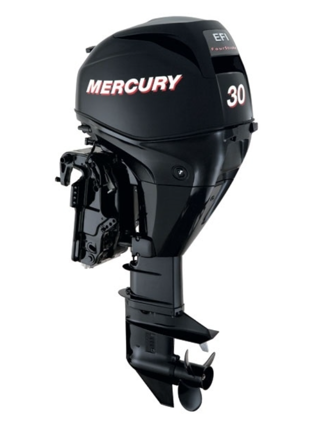ЛОДОЧНЫЙ МОТОР MERCURY  F 30 ELH GA EFI в Кемерово