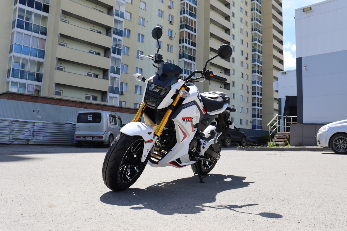 Мотоцикл PROMAX STRYKER 200(49) 2.0 в Кемерово
