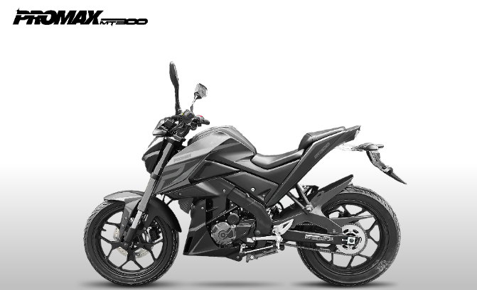 Мотоцикл PROMAX MT300 в Кемерово