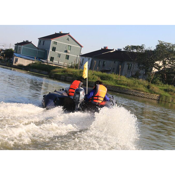 ЛОДОЧНЫЙ МОТОР ALLFA CG Т20 в Кемерово