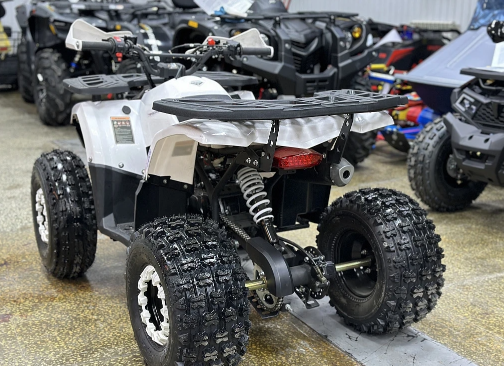 Квадроцикл PROMAX WILD 2.0 190 в Кемерово