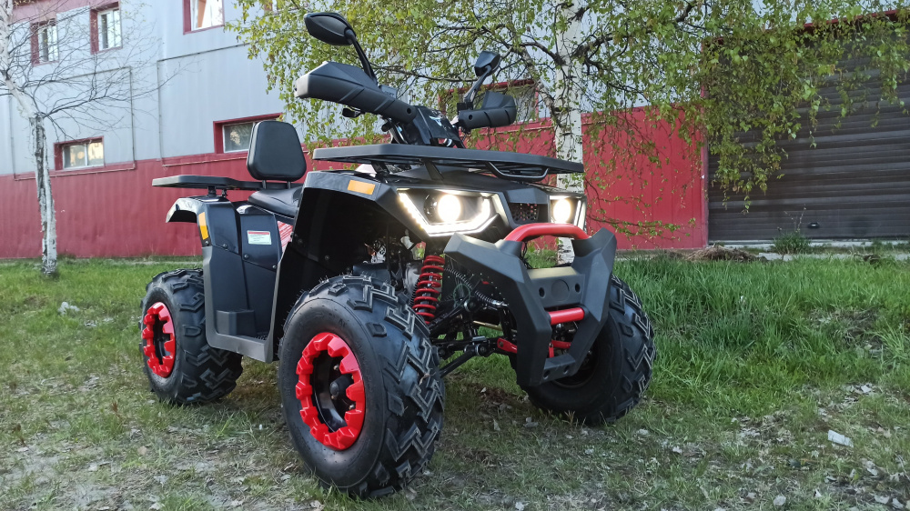 Квадроцикл PROMAX WILD 300 LUX (2024) в Кемерово
