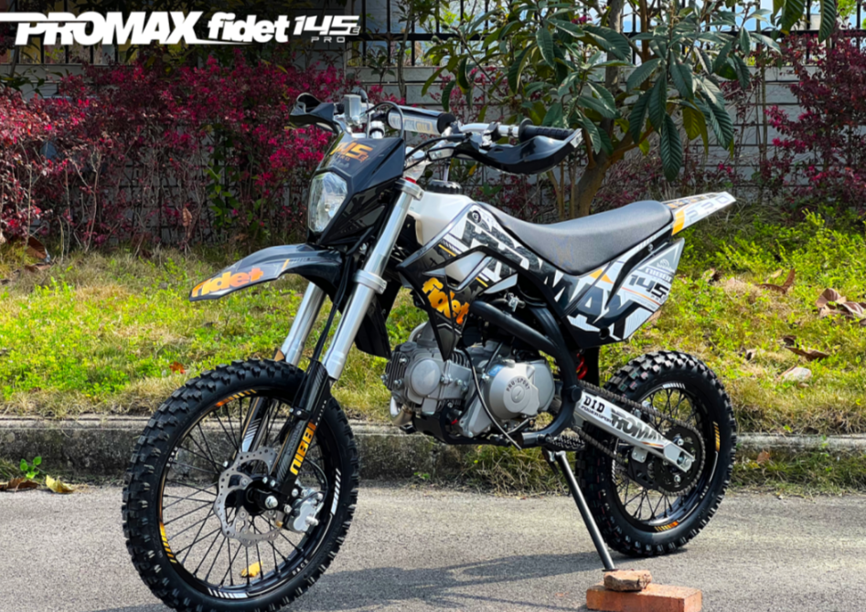 Мотоцикл (питбайк) PROMAX FIDET (ФАЙДЕТ) 145E PRO 17/14 в Кемерово