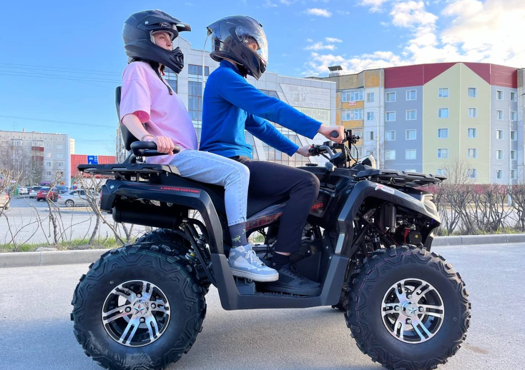 Квадроцикл PROMAX RENEGADE 300 LONG WINCH PRO (2025) в Кемерово