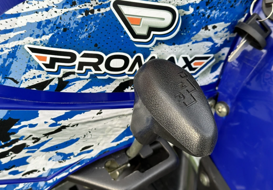  Квадроцикл PROMAX ATV 250 MAX (2025) в Кемерово