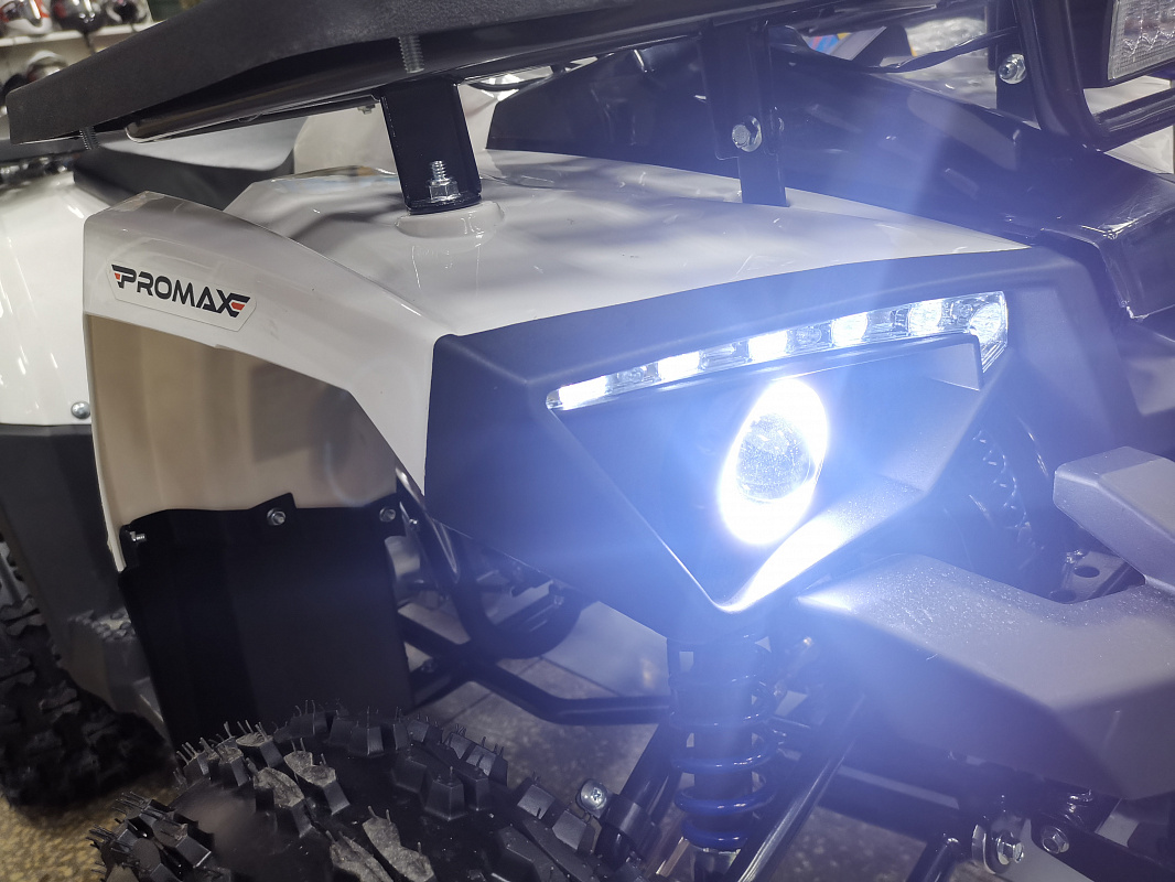 Квадроцикл PROMAX WILD 175 LUX в Кемерово