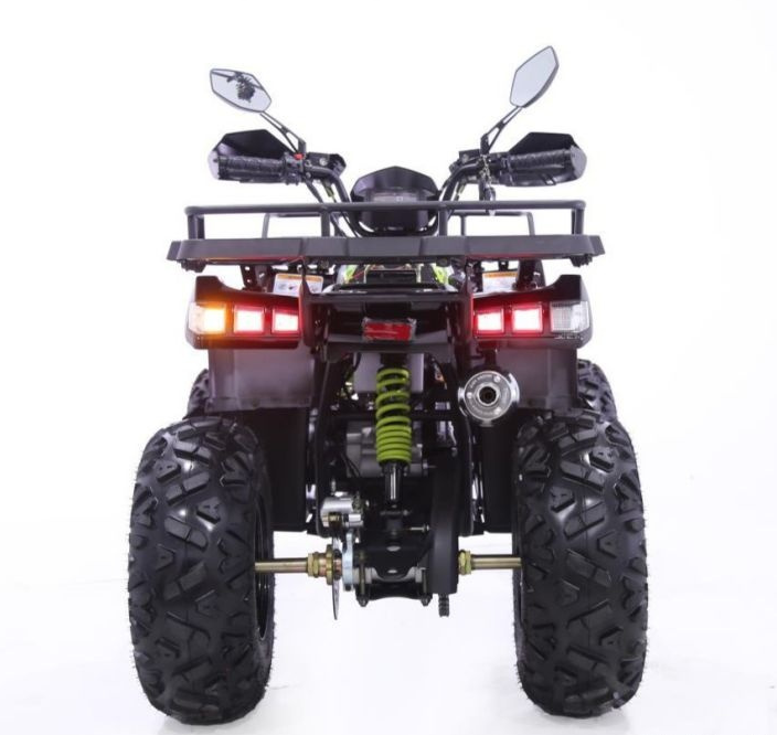 Квадроцикл YACOTA WARRIOR 200 PRO в Кемерово