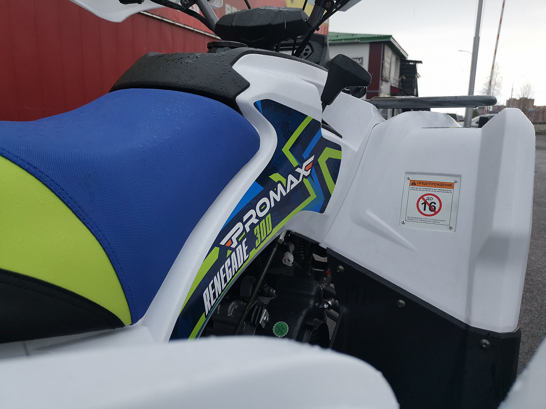 Квадроцикл PROMAX RENEGADE 280 LUX (2025) в Кемерово