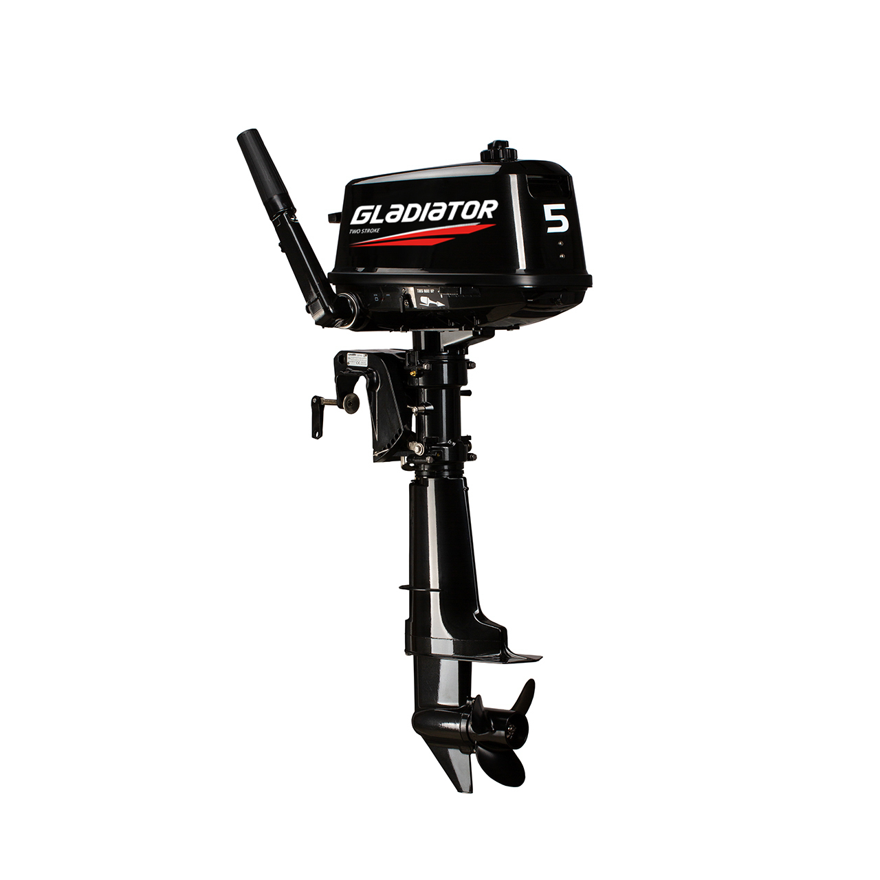 ЛОДОЧНЫЙ МОТОР GLADIATOR G5FHS в Кемерово