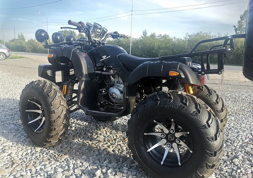 Квадроцикл PROMAX LEO 300 Max (кардан) в Кемерово