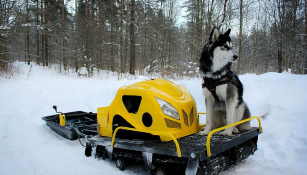 Мотобуксировщик LEBEDEV MOTORS ВОЛКОДАВ POWER V13 в Кемерово