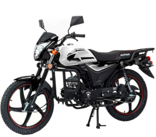 Мопед MOTOLAND (МОТОЛЕНД) Альфа RS 11 (LM48-B) в Кемерово