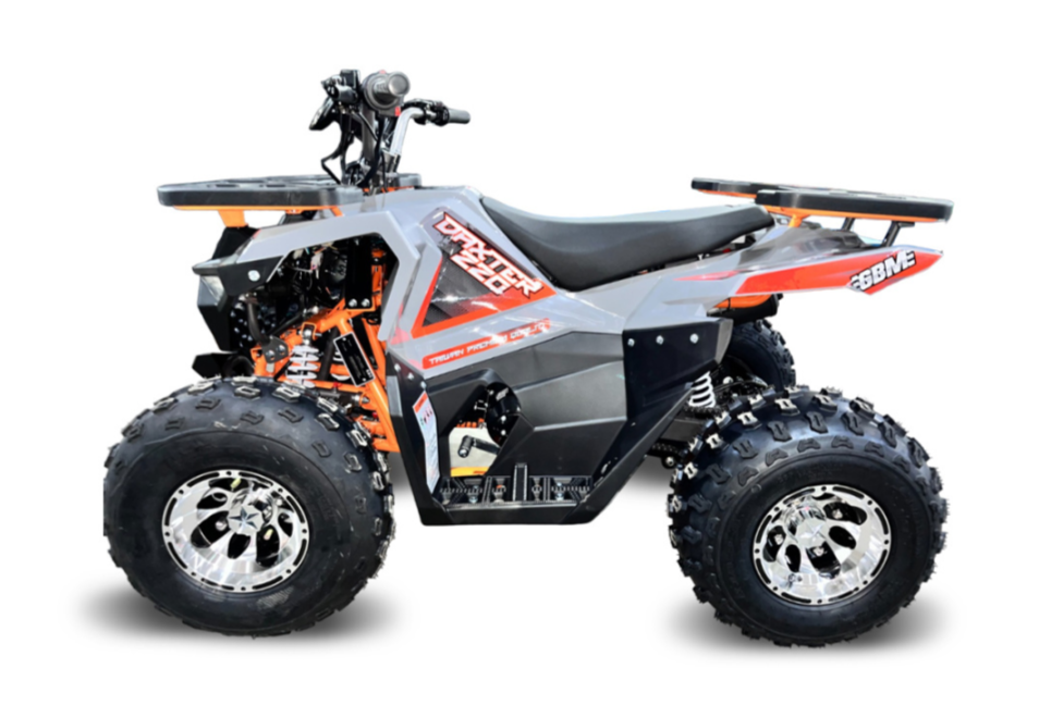 Квадроцикл GBM DAXTER 220 NEW PREMIUM в Кемерово