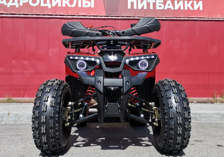 Квадроцикл PROMAX WILD 175 BASIC в Кемерово