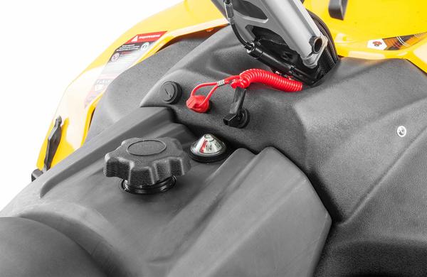 Снегоход STELS MS600T (SWT ST) СТАВР 1.0 К01 Tech в Кемерово