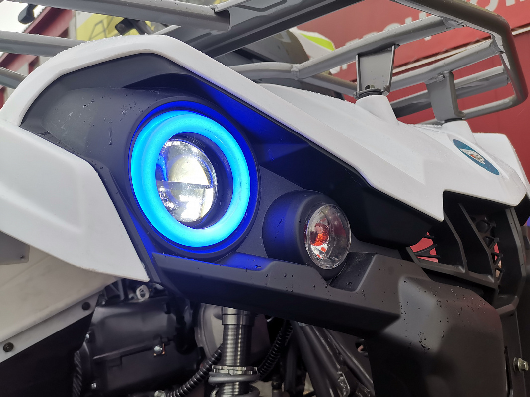 Квадроцикл PROMAX RENEGADE 280 LUX (2025) в Кемерово