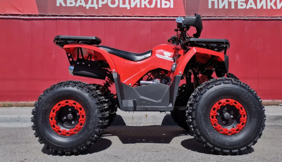 Квадроцикл PROMAX WILD 175 BASIC в Кемерово