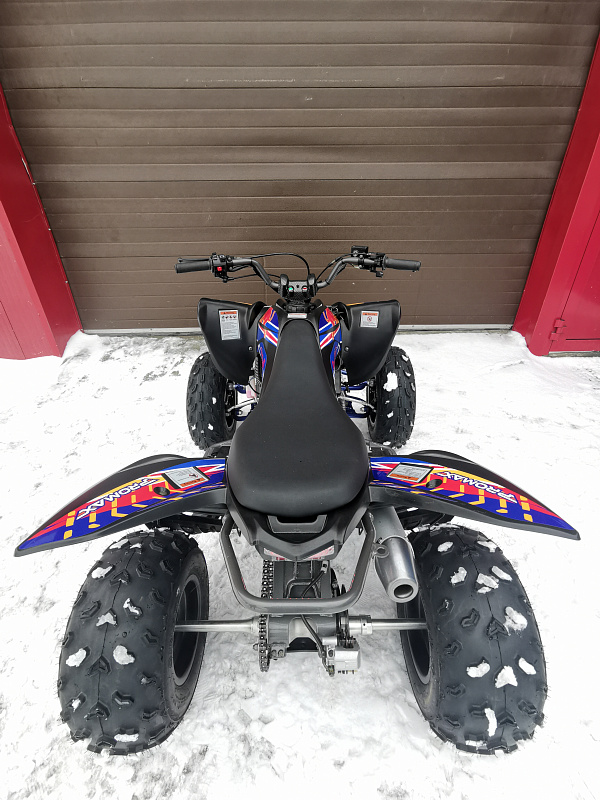 Квадроцикл PROMAX RAPTOR 300 NEW RedBull в Кемерово