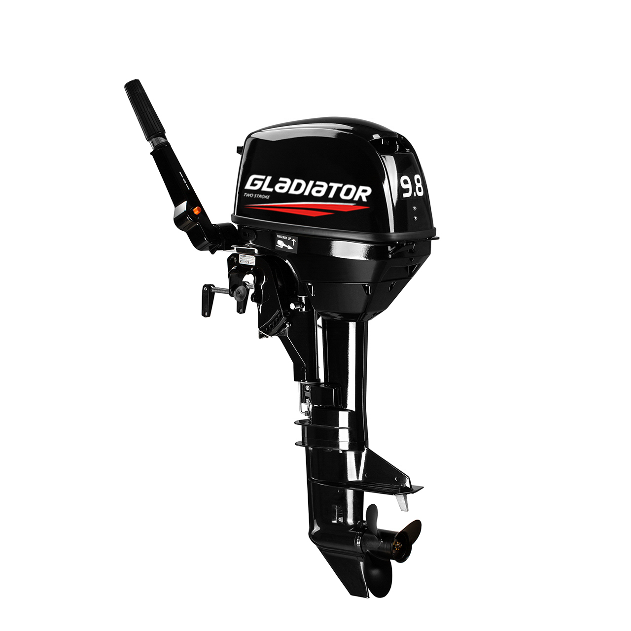 ЛОДОЧНЫЙ МОТОР GLADIATOR G9.8FHS в Кемерово