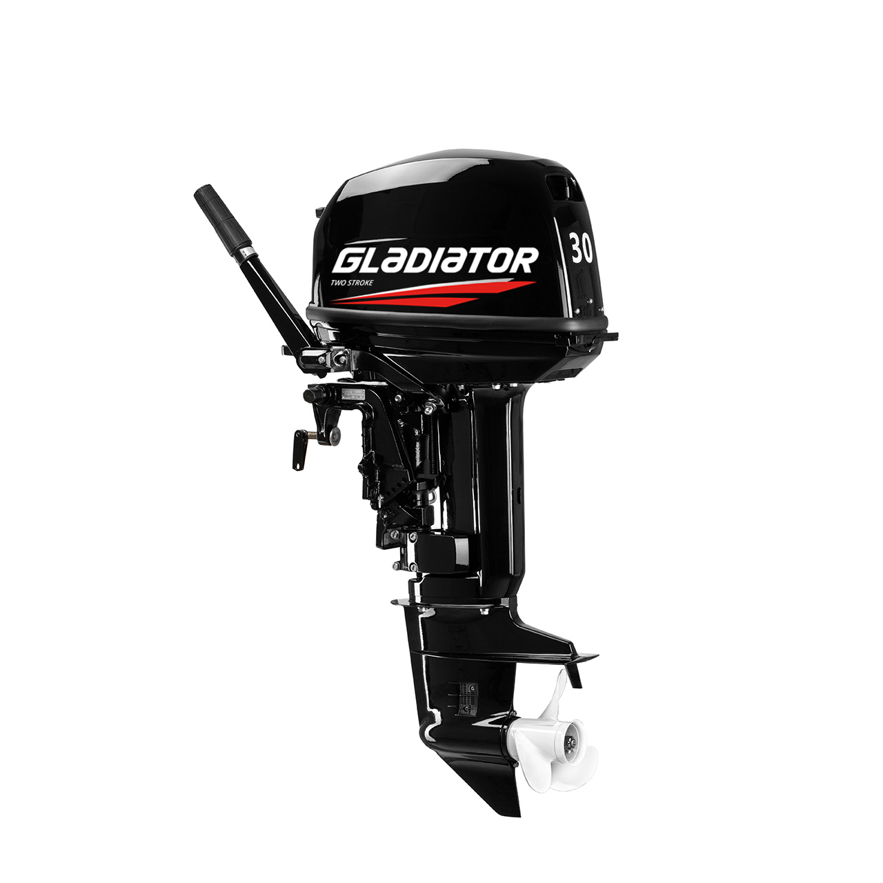 ЛОДОЧНЫЙ МОТОР GLADIATOR G30FHS в Кемерово