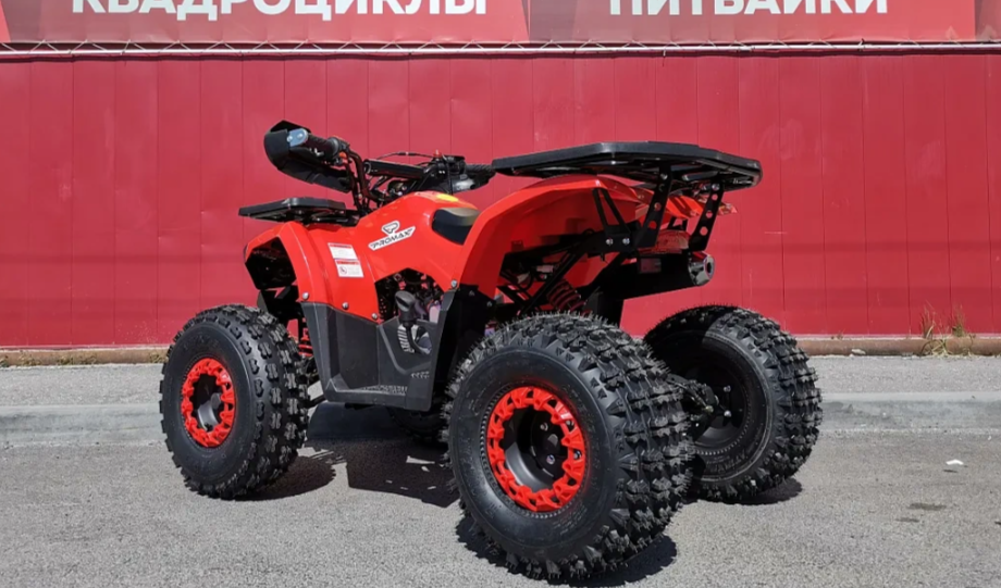 Квадроцикл PROMAX WILD 175 BASIC в Кемерово