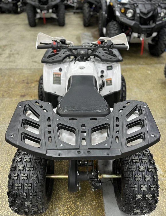 Квадроцикл PROMAX WILD 2.0 190 в Кемерово