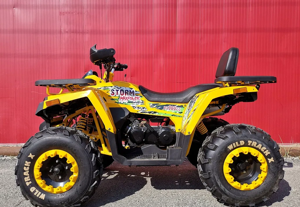 Квадроцикл PROMAX STORM 280 LUX в Кемерово