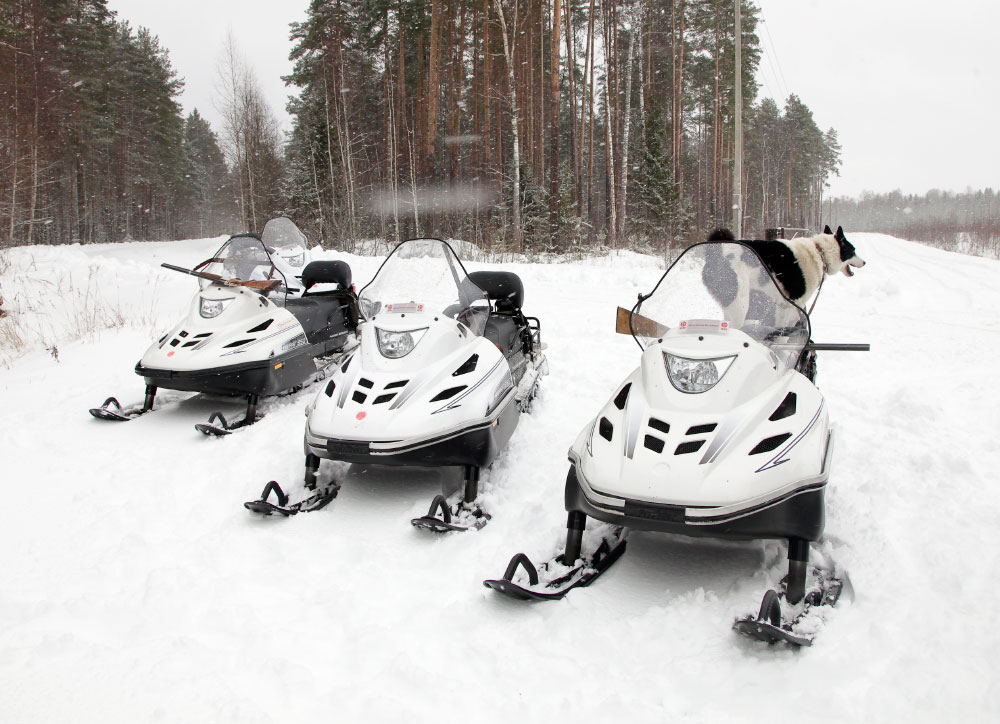 СНЕГОХОД РМ ТАЙГА ВАРЯГ 550 V в Кемерово